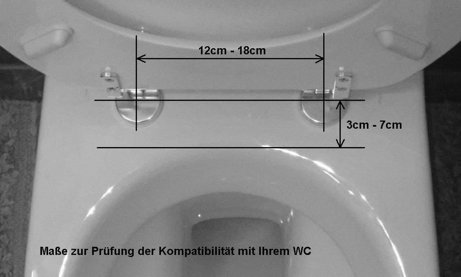 Bidet - Dusch-WC mit Warmwasser für Intimreinigung - nachrüstbar