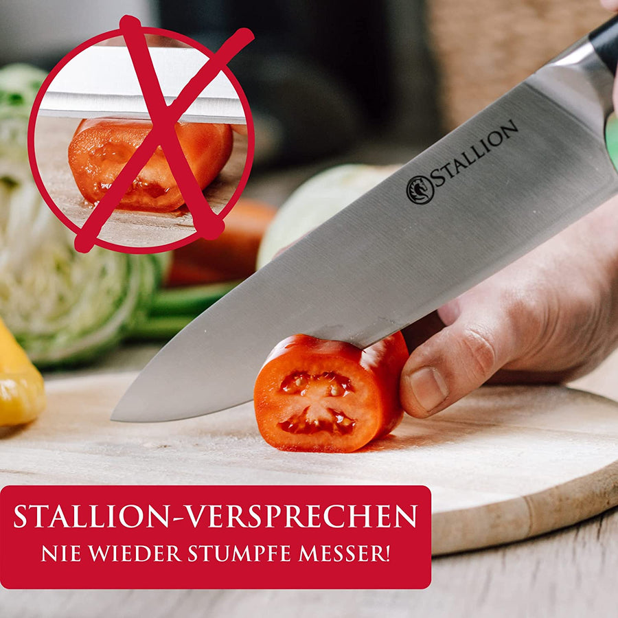 Stallion Professional - Doppelseitiger Diamant-Schleifstein mit 600# und 1000# Körnung